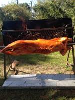 Nos prestations sur le secteur de à La Ciotat près de Saint-Cyr-sur-Mer