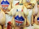 poulet de bresse